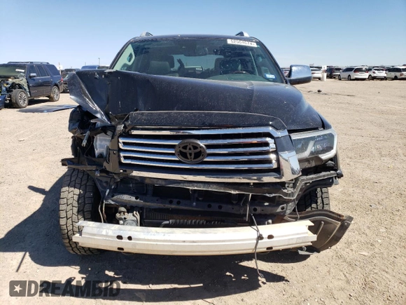 2019 Toyota Sequoia Platinum with VIN 5TDDY5G11KS166047, listed as a Copart auction lot 52504674 with 40,393 mi miles. Bid and sale history available at carsss.com. Image 5.