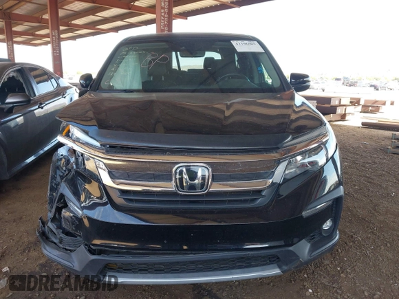 2019 Honda Pilot EX-L с VIN 5FNYF6H54KB084820, выставлен на аукционе IAAI как лот 42396005 с пробегом Не указан миль и . История ставок и продаж доступна на DreamBid. Изображение 11.