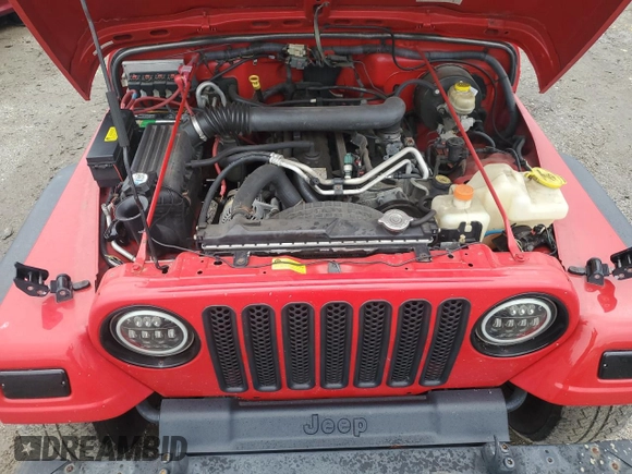 2006 Jeep Wrangler SE with VIN 1J4FA29S46P786905, listed as a Copart auction lot 73172234 with 172,418 mi miles and Salvage Title. Bid and sale history available at carsss.com. Image 11.