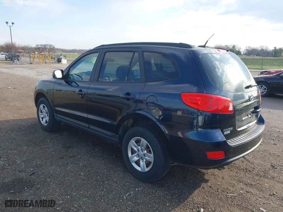 2009 Hyundai Santa Fe GLS with VIN 5NMSG13D09H299043, listed as a IAAI auction lot 41896495 with 208,263 mi miles. Bid and sale history available at carsss.com. Image 3.
