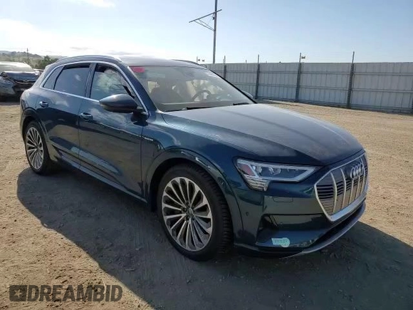 2019 Audi e-tron Prestige with VIN WA1VABGE8KB021079, listed as a Copart auction lot 51440093 with 0 mi miles. Bid and sale history available at carsss.com. Image 11.