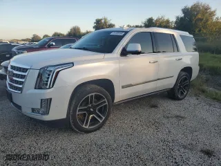 2020 Cadillac Escalade Premium Luxury with VIN 1GYS3CKJ6LR231499, listed as a Copart auction lot 81338164 with 0 mi miles and Salvage Title. Bid and sale history available at carsss.com. Image 1.
