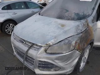 2014 Ford Escape SE с VIN 1FMCU0GX4EUA64221, выставлен на аукционе IAAI как лот 41425001 с пробегом Не указан миль и . История ставок и продаж доступна на DreamBid. Изображение 12.