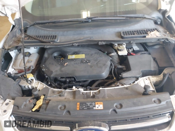 2013 Ford Escape SE with VIN 1FMCU9GX1DUC15356, listed as a IAAI auction lot 42667149 with 170,554 mi miles and . Bid and sale history available at DreamBid. Image 10.