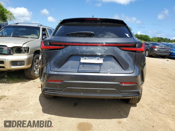 2024 Lexus NX 250 Premium with VIN JTJGDCAZ8R2010534, listed as a Copart auction lot 63456295 with Not provided miles and Non repairable. Bid and sale history available at DreamBid. Image 6.