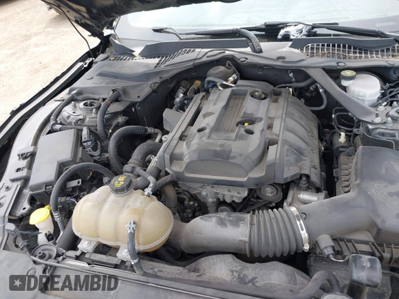 2019 Ford Mustang EcoBoost with VIN 1FATP8UH4K5181641, listed as a IAAI auction lot 42350534 with 62,117 mi miles and . Bid and sale history available at DreamBid. Image 10.