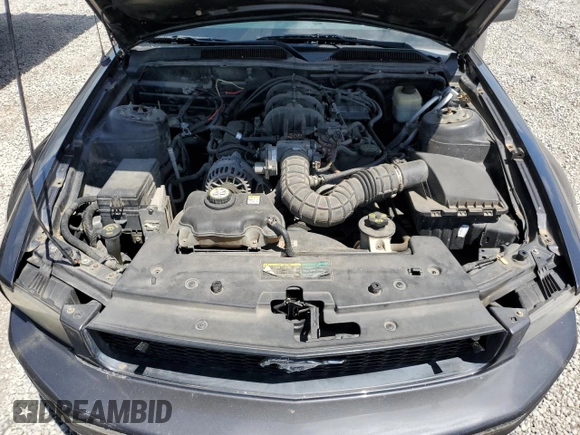 2007 Ford Mustang Deluxe z VIN 1ZVHT84N775320604, wystawiony jako Copart lot #55970295 z przebiegiem 164 642 mil mil oraz Szkoda całkowita • Salvage title. Historia ofert i sprzedaży dostępna na DreamBid. Obrazek 11.