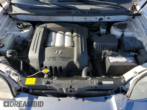 2002 Hyundai Santa Fe GLS with VIN KM8SC13DX2U329705, listed as a Copart auction lot 48986355 with 118,502 mi miles and Salvage Title. Bid and sale history available at carsss.com. Image 12.