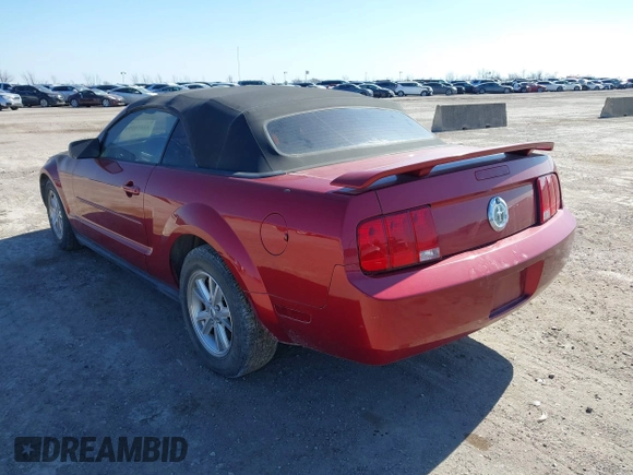 2006 Ford Mustang Standard with VIN 1ZVFT84N165244772, listed as a IAAI auction lot 41656994 with Not Provided miles and . Bid and sale history available at carsss.com. Image 3.