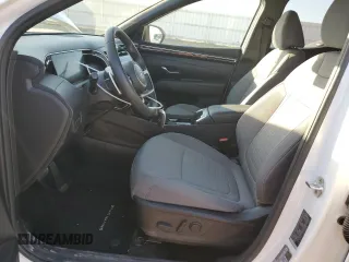 2023 Hyundai Santa Cruz SEL Premium z VIN 5NTJDDAF8PH043499, wystawiony jako Copart lot #74290324 z przebiegiem 20 433 mil mil oraz Szkoda całkowita • Salvage title. Historia ofert i sprzedaży dostępna na DreamBid. Obrazek 7.