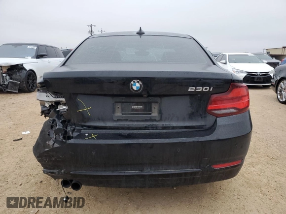 2020 BMW 2 Series 230i with VIN WBA2J1C09L7E60485, listed as a Copart auction lot 44817925 with 53,159 mi miles and Clean Title. Bid and sale history available at carsss.com. Image 6.