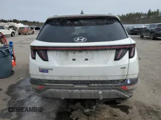 2022 Hyundai Tucson Limited with VIN 5NMJECAE8NH079815, listed as a Copart auction lot 46863115 with 77,756 mi miles and Salvage Title. Bid and sale history available at carsss.com. Image 6.