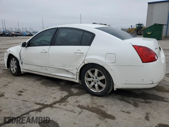 2006 Nissan Maxima 3.5 SE with VIN 1N4BA41E16C842768, listed as a Copart auction lot 44319175 with 175,065 mi miles and Salvage Title. Bid and sale history available at carsss.com. Image 2.