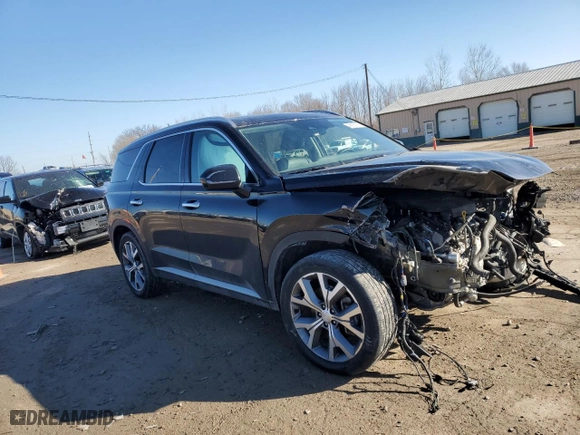 2020 Hyundai Palisade SEL with VIN KM8R44HEXLU134459, listed as a Copart auction lot 46905765 with 60,712 mi miles and Salvage Title. Bid and sale history available at carsss.com. Image 4.
