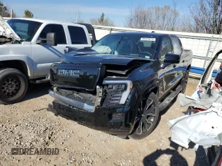 2025 GMC Sierra 1500 with VIN 1GT40LEL1SU402045, listed as a Copart auction lot 89329675 with Not Provided miles and Salvage Title. Bid and sale history available at DreamBid. Image 1.