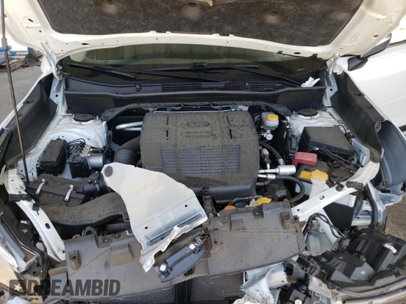 2019 Subaru Forester Touring with VIN JF2SKAWCXKH487319, listed as a Copart auction lot 60920845 with 36,263 mi miles and Salvage title. Bid and sale history available at DreamBid. Image 12.