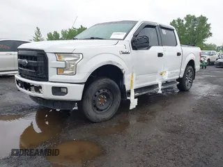 2016 Ford F-150 XLT z VIN 1FTEW1EF7GKF94575, wystawiony jako IAAI lot #42209727 z przebiegiem 307 854 mil mil oraz . Historia ofert i sprzedaży dostępna na DreamBid. Obrazek 2.