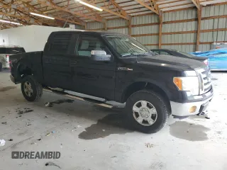 2012 Ford F-150 XL with VIN 1FTFW1EF3CKD18053, listed as a Copart auction lot 57439645 with 166,463 mi miles and Salvage title. Bid and sale history available at DreamBid. Image 4.