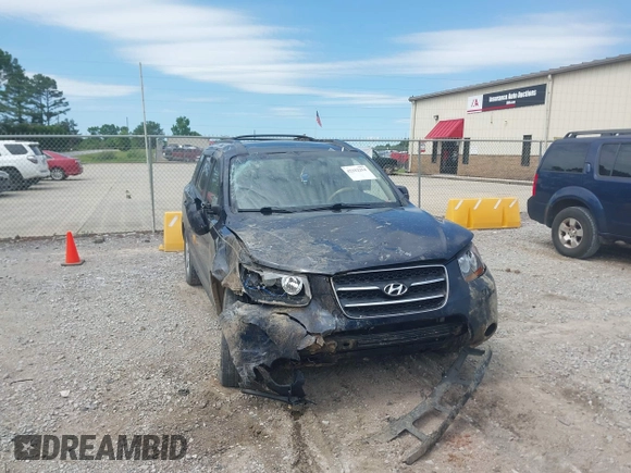 2009 Hyundai Santa Fe Limited z VIN 5NMSH13E89H300560, wystawiony jako IAAI lot #42322254 z przebiegiem 249 985 mil mil oraz . Historia ofert i sprzedaży dostępna na DreamBid. Obrazek 6.
