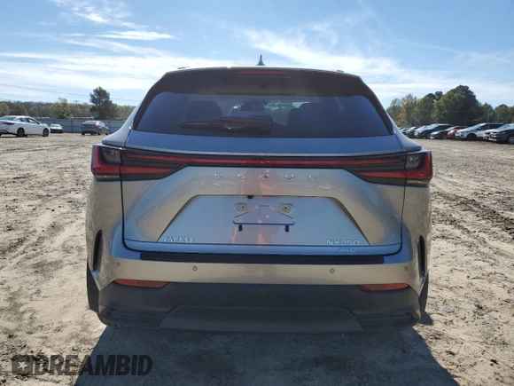 2025 Lexus NX with VIN JTJHGCEZ4S5010282, listed as a Copart auction lot 79807514 with 435 mi miles and Salvage Title. Bid and sale history available at carsss.com. Image 6.