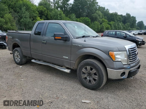 2011 Ford F-150 XL with VIN 1FTFX1ET7BFC26549, listed as a Copart auction lot 67026885 with 173,881 mi miles and Clean title. Bid and sale history available at DreamBid. Image 4.