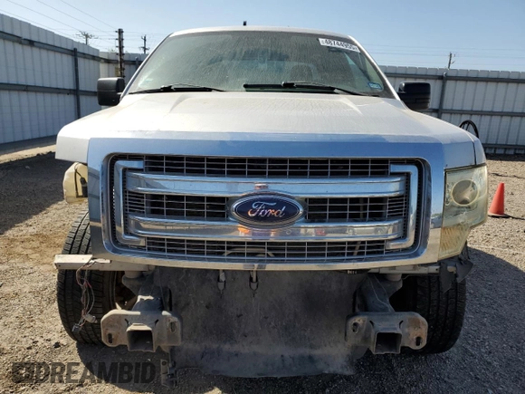 2010 Ford F-150 XL with VIN 1FTEX1CW0AFC65703, listed as a Copart auction lot 48744955 with 332,310 mi miles and Salvage Title. Bid and sale history available at carsss.com. Image 5.