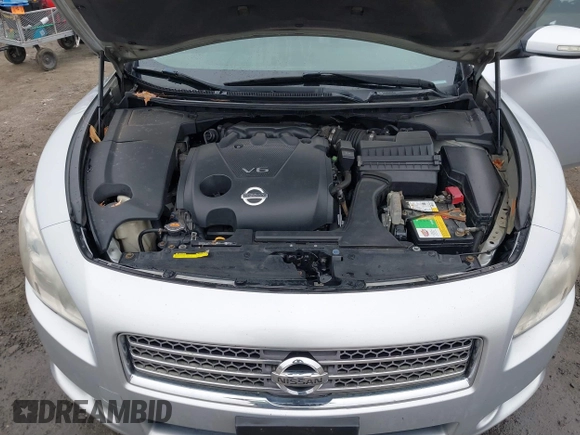 2009 Nissan Maxima SV with VIN 1N4AA51E19C842517, listed as a IAAI auction lot 41534246 with 278,067 mi miles and . Bid and sale history available at DreamBid. Image 10.