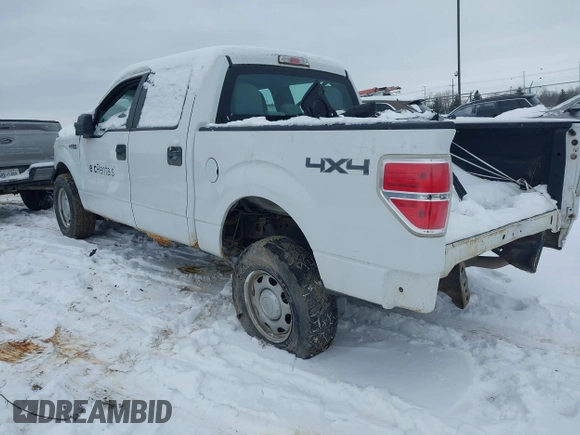 2013 Ford F-150 XL with VIN 1FTFW1EF1DFC14283, listed as a IAAI auction lot 41641563 with 0 mi miles. Bid and sale history available at carsss.com. Image 3.