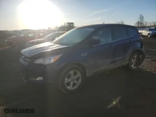 2014 Ford Escape SE with VIN 1FMCU9GX5EUB73243, listed as a Copart auction lot 48294705 with NaN miles and Clean Title. Bid and sale history available at carsss.com. Image 1.