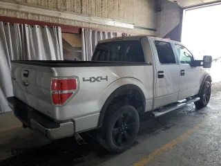 2010 Ford F-150 XL with VIN 1FTFW1EV3AFB69270, listed as a Copart auction lot 66163565 with 176,569 mi miles and Clean title. Bid and sale history available at DreamBid. Image 3.
