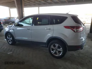2014 Ford Escape SE with VIN 1FMCU0G96EUE01263, listed as a Copart auction lot 42643205 with 183,908 mi miles and Salvage Title. Bid and sale history available at carsss.com. Image 2.