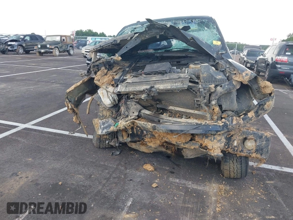 2013 Ford F-150 XL with VIN 1FTFX1EF7DKD46386, listed as a IAAI auction lot 42562563 with Not provided miles and . Bid and sale history available at DreamBid. Image 6.