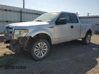 2010 Ford F-150 XL with VIN 1FTEX1CW0AFC65703, listed as a Copart auction lot 48744955 with 332,310 mi miles and Salvage Title. Bid and sale history available at carsss.com. Image 1.