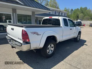 2005 Toyota Tacoma with VIN 5TEUU42N35Z126382, listed as a Copart auction lot 56938225 with 260,634 mi miles and Clean Title. Bid and sale history available at DreamBid. Image 4.