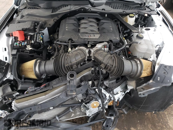 2024 Ford Mustang GT Premium with VIN 1FAGP8FF7R5104107, listed as a Copart auction lot 81084034 with 8,389 mi miles and Clean title. Bid and sale history available at DreamBid. Image 11.
