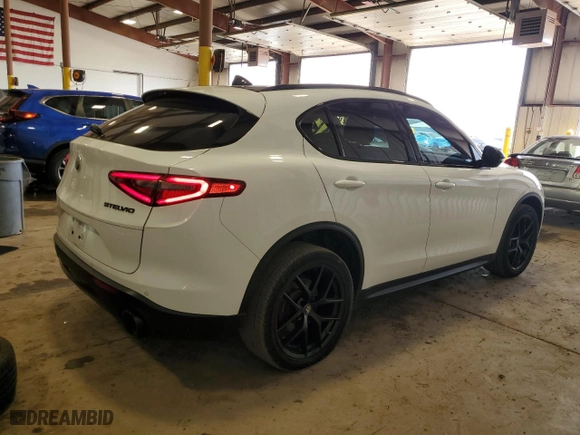 2019 Alfa Romeo Stelvio Ti Sport with VIN ZASPAKBN2K7C43312, listed as a Copart auction lot 49851515 with 66,732 mi miles and Salvage Title. Bid and sale history available at carsss.com. Image 3.