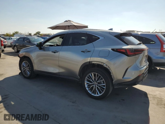2022 Lexus NX with VIN JTJGGCEZ7N2005661, listed as a Copart auction lot 65813983 with 13,213 mi miles. Bid and sale history available at carsss.com. Image 2.