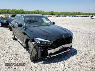 2023 BMW X5 xDrive40i with VIN 5UXCR6C08P9R06807, listed as a Copart auction lot 52030505 with 43,600 mi miles and Salvage title. Bid and sale history available at DreamBid. Image 12.