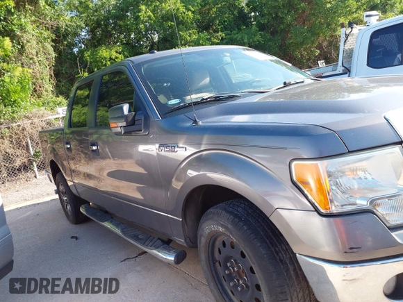 2010 Ford F-150 XL with VIN 1FTFW1CV1AKB24029, listed as a IAAI auction lot 42189799 with Not Provided miles. Bid and sale history available at carsss.com. Image 13.