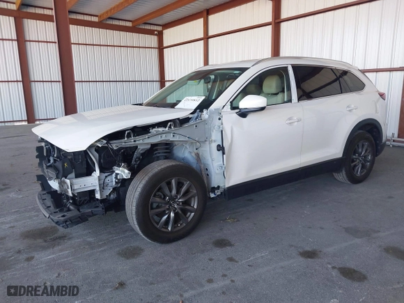 2021 Mazda CX-9 Touring with VIN JM3TCACY2M0507782, listed as a IAAI auction lot 41839812 with 53,418 mi miles. Bid and sale history available at carsss.com. Image 19.