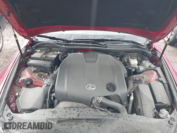 2015 Lexus IS 250 with VIN JTHBF1D23F5082146, listed as a IAAI auction lot 42550539 with 125,288 mi miles and . Bid and sale history available at DreamBid. Image 10.