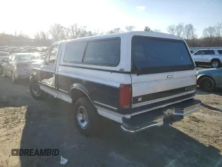 1994 Ford F-150 with VIN 1FTEF15N6RNB39628, listed as a Copart auction lot 87893835 with 275,770 mi miles and Salvage Title. Bid and sale history available at carsss.com. Image 2.