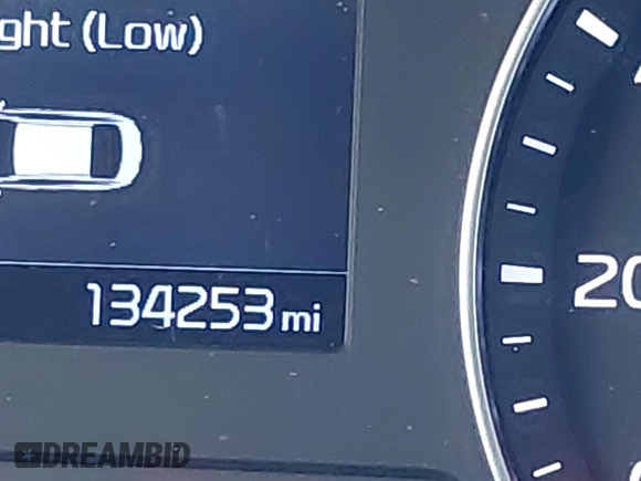 2019 Kia Forte LXS z VIN 3KPF24AD9KE060124, wystawiony jako IAAI lot #42594798 z przebiegiem 134 253 mil mil oraz . Historia ofert i sprzedaży dostępna na DreamBid. Obrazek 15.