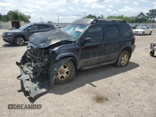 2003 Ford Escape XLT Popular 2 with VIN 1FMYU93183KE20061, listed as a Copart auction lot 58383435 with 242,359 mi miles and Salvage title. Bid and sale history available at DreamBid. Image 1.