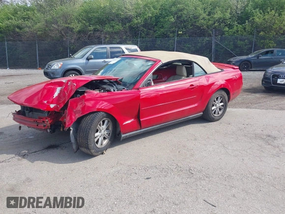 2008 Ford Mustang Deluxe with VIN 1ZVHT84N585152012, listed as a IAAI auction lot 42041018 with 87,513 mi miles and . Bid and sale history available at DreamBid. Image 2.