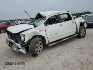 2010 Nissan Titan SE with VIN 1N6BA0ED6AN312861, listed as a Copart auction lot 88127865 with 166,205 mi miles and Salvage Title. Bid and sale history available at carsss.com. Image 1.