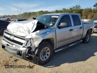 2010 Chevrolet Silverado 1500 LT with VIN 3GCRCSEA6AG205265, listed as a Copart auction lot 86342394 with Not Provided miles and Salvage Title. Bid and sale history available at DreamBid. Image 1.
