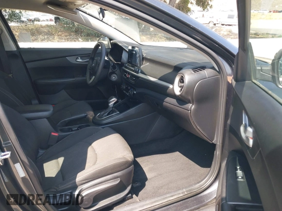 2019 Kia Forte LXS with VIN 3KPF24AD6KE137970, listed as a IAAI auction lot 42603942 with 119,525 mi miles and . Bid and sale history available at DreamBid. Image 5.