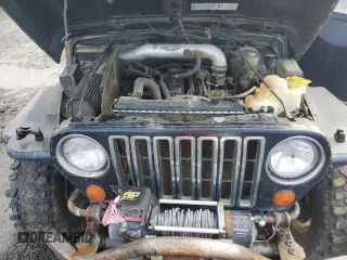 1998 Jeep Wrangler Sport with VIN 1J4FY19S5WP717503, listed as a Copart auction lot 49188195 with 180,717 mi miles and Salvage Title. Bid and sale history available at carsss.com. Image 11.