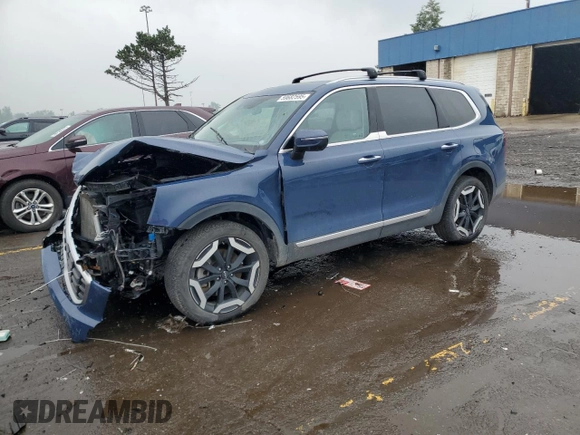 2024 Kia Telluride S with VIN 5XYP6DGC4RG413325, listed as a Copart auction lot 59682595 with 46,794 mi miles and Non repairable. Bid and sale history available at DreamBid. Image 1.